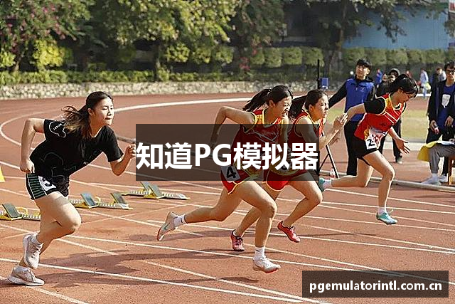 知道PG模拟器